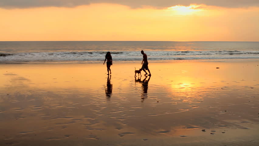 Couple playing on beach with dog at sunset in Bali