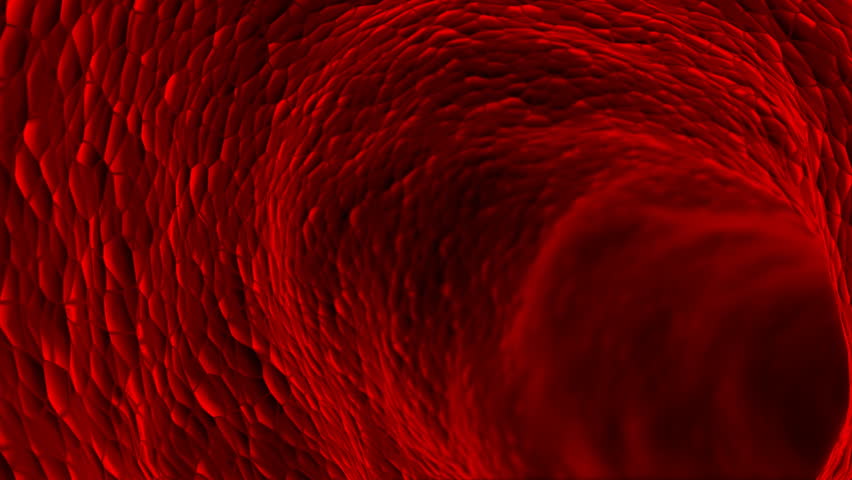 3D blood cells in vein.