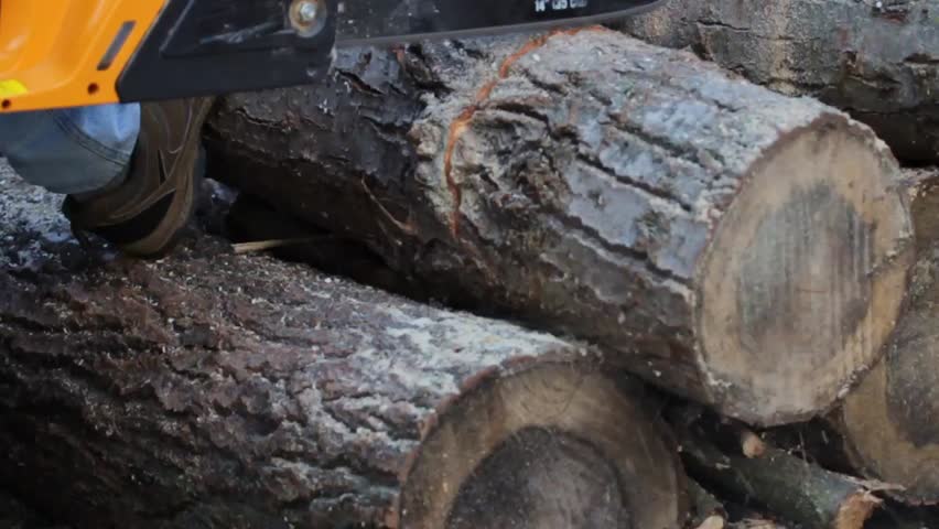 Man sawing a log chainsaw