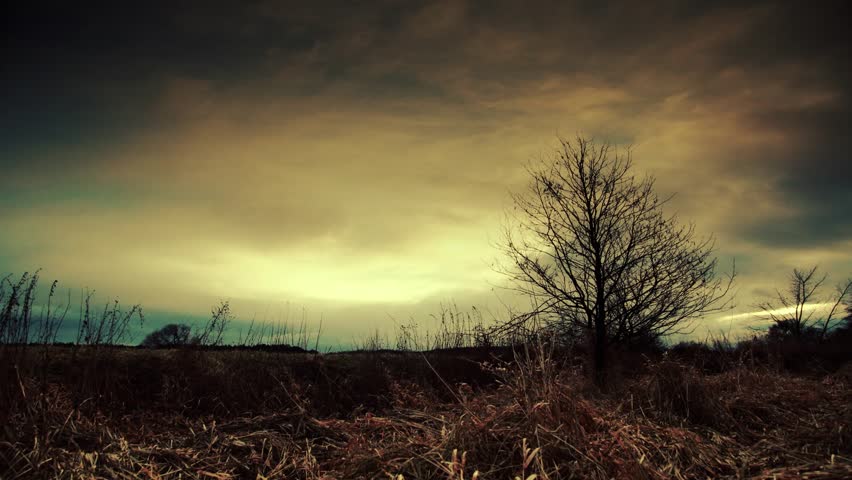 Dramatic time - lapse just before the storm. Tree alone on meadow. Full HD movie - fast moving clouds