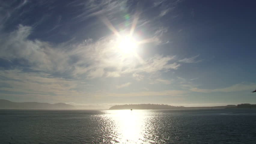 Birds flying on sunny day over bay off the Pacific Ocean coastline in Oregon.