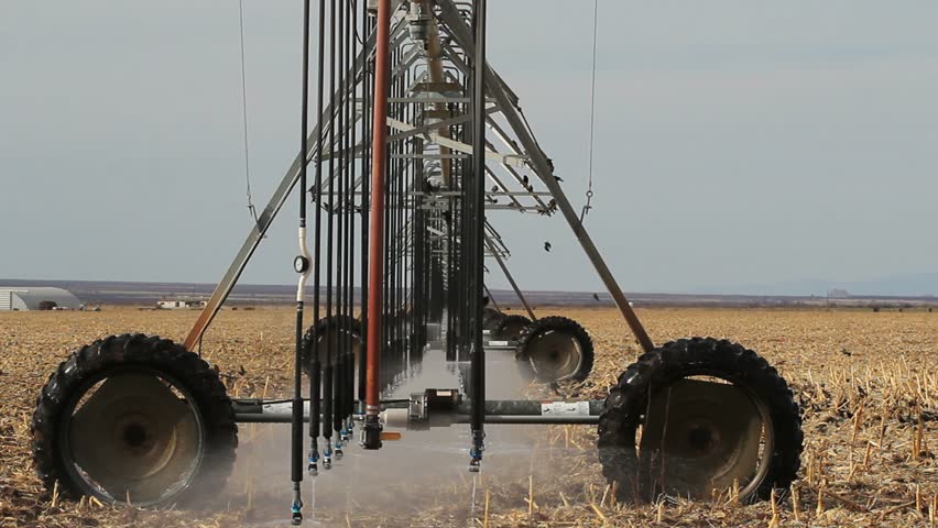 Birds ride, fly, follow pivot irrigation system as it slowly moves around farm field spraying water on crops, providing food and drink. 1080p