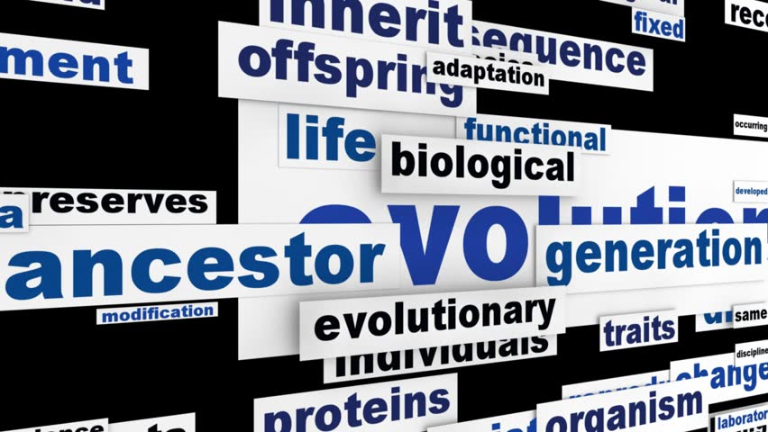Evolution scientific concept. Biological organization message concept