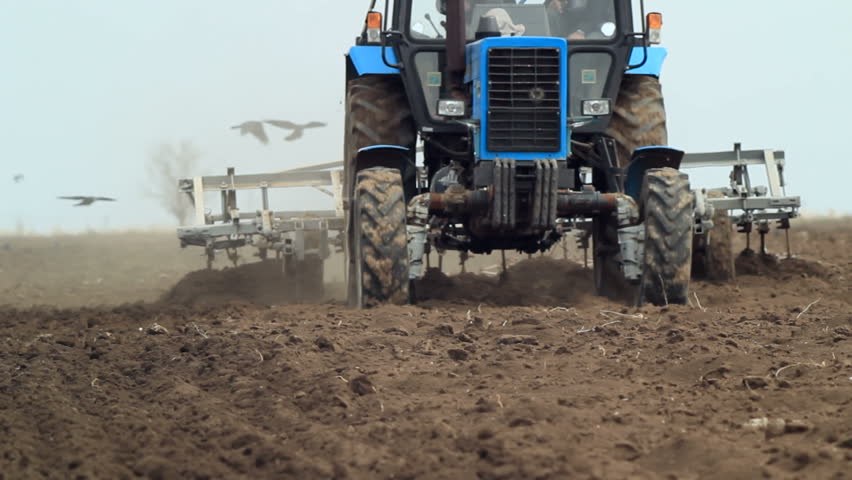 Tractor working on the filed.