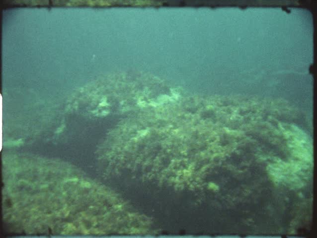 Vintage 8mm film: Snorkeling and diving, 1980s