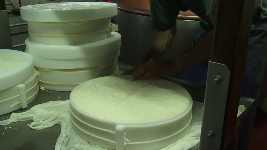 Making cheese: Cheese maker turns newborn cheese which is rubbery in texture, and wraps it in linen cloth.