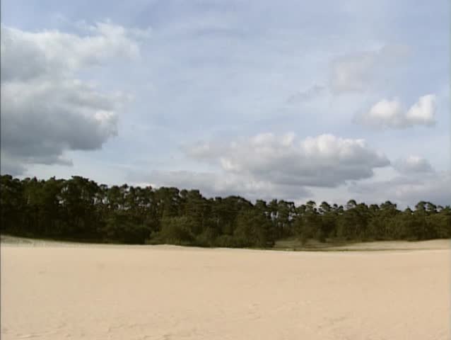 Drift sand area Wekeromse Zand, The Netherlands. Europe's largest sand drifts are found in The Netherlands.