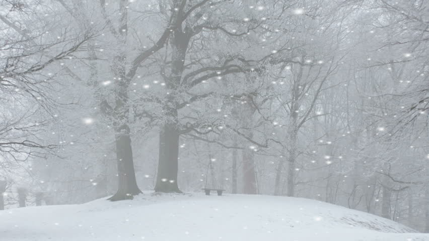 Pristine white snowfall in a winter park
