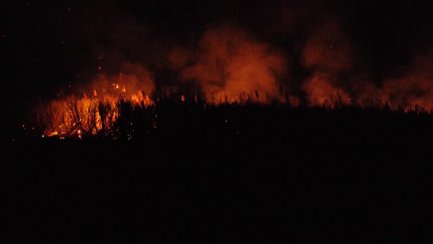 flames and glow of nightime controlled fire / burning of cane fields on farm in queensland , australia