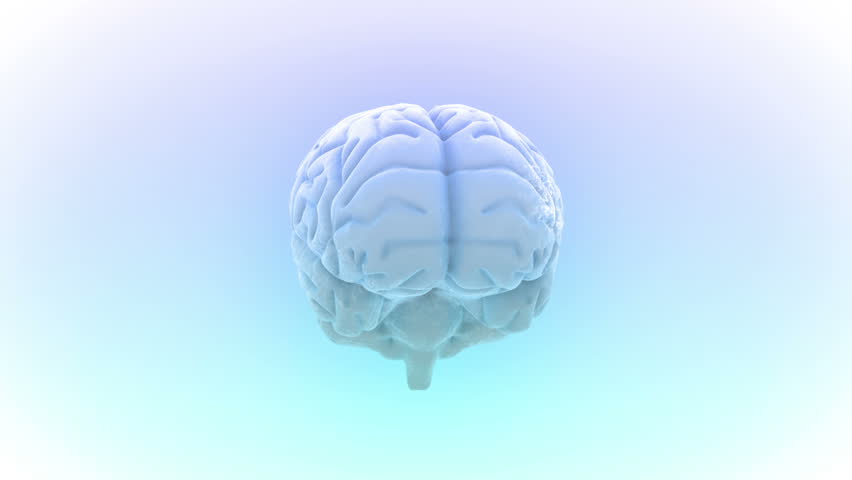 Brain images.