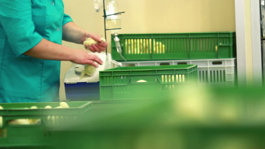 Vaccination of chickens