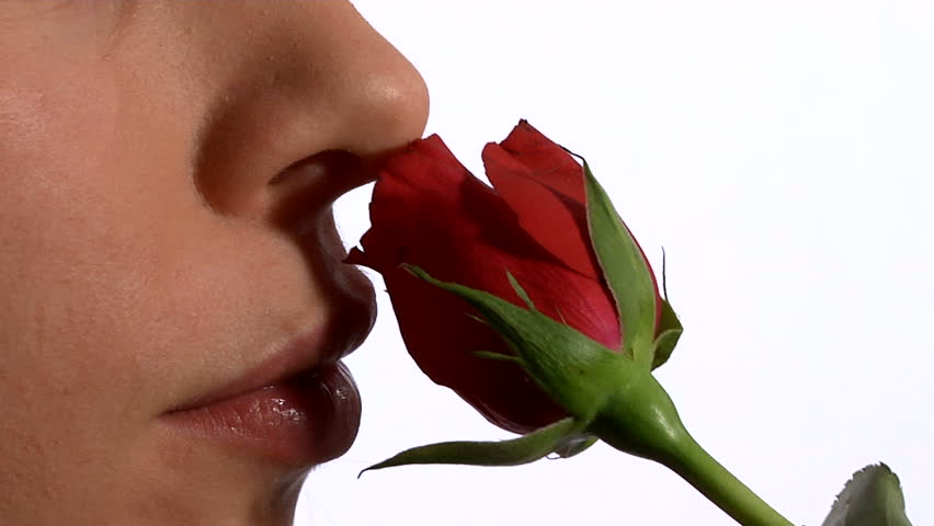Smelling a rose - a young woman smells a rose and smiles