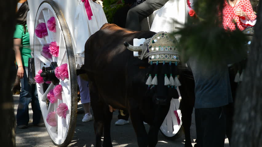Almayate, Malaga, Spain - 5 April 2013.- Spanish bulls and trailers on pilgrimage or romeria andalusian