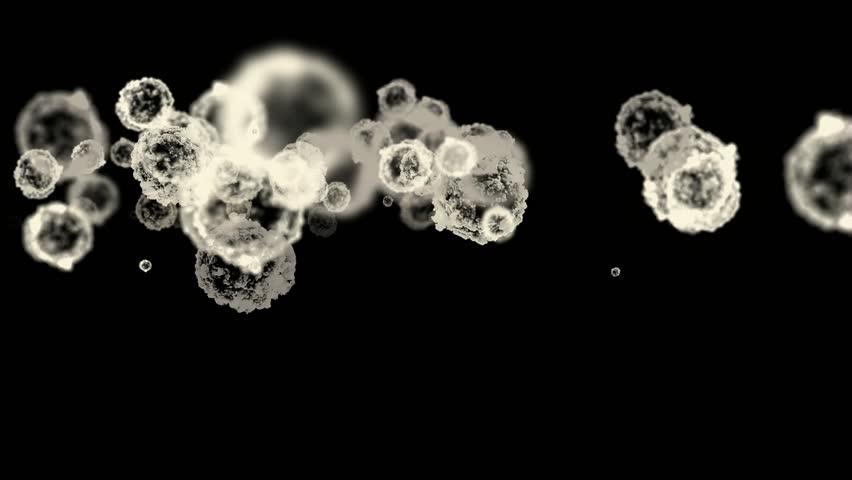 cells & virus,dust particles.
