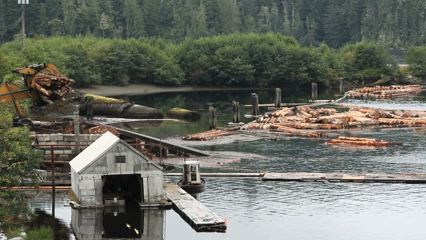 Logs Dumped into Water, British Columbia. Lumber being dropped into Beaver Cove for sorting and assembling into log booms on Vancouver Island. British Columbia, Canada.
