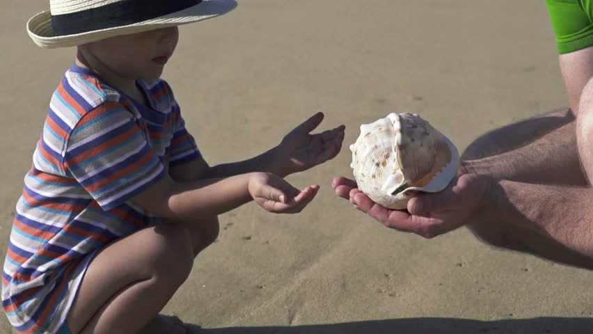 Father and son with beautiful seashell on the beach
