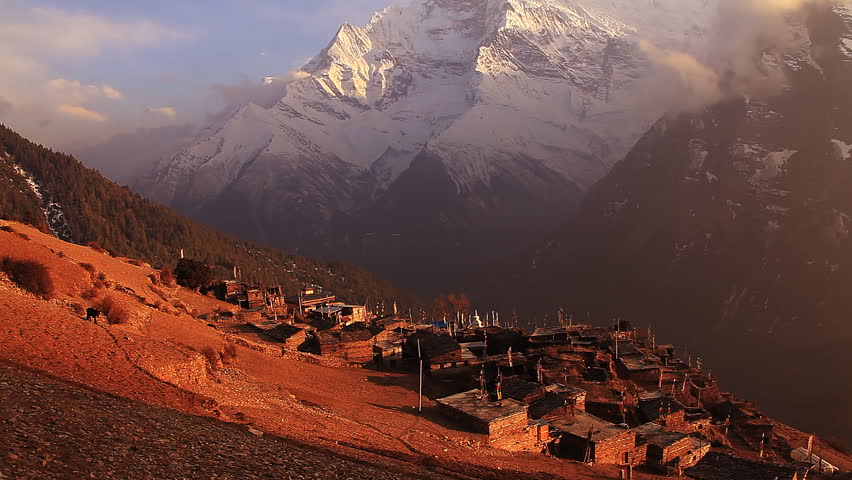 Time Lapse. Horses come back on a farm from a pasture on a sunset. Ghyaru (3760 m), Himalayas.