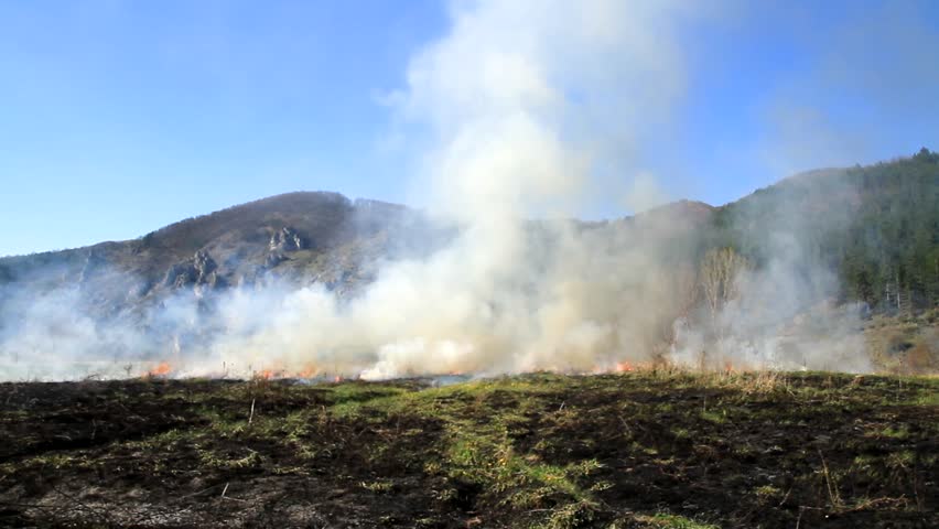 Forest Fire Smoke Rising over Black Ash Field Hazard Nature Background HD