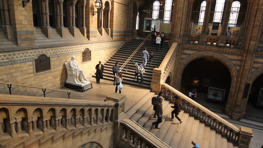 LONDON, UK on APRIL 3rd: Natural History Museum on April 3rd, 2012. The museum is home to life and earth science specimens comprising some 70 million items.