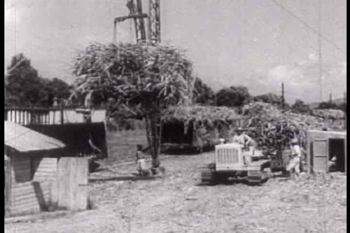 1950s - Development and progress in Puerto Rico is shown