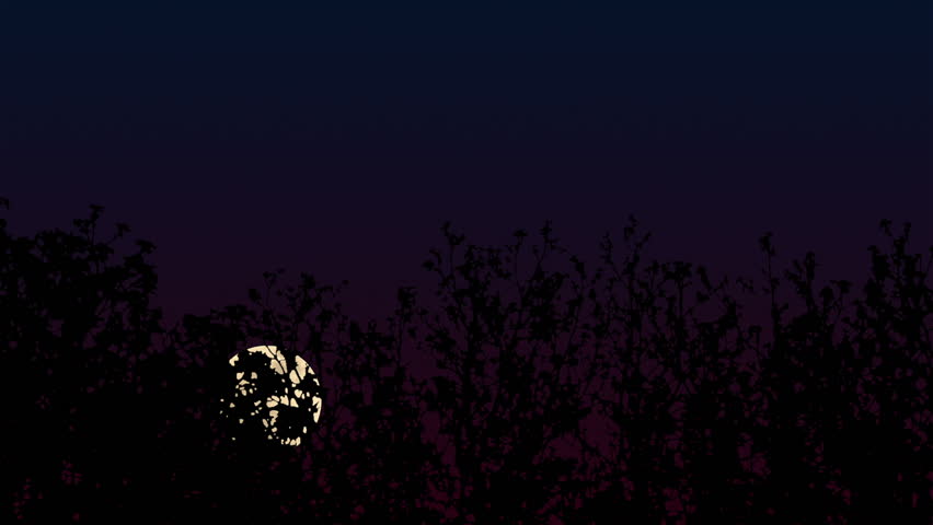 Full Moon Trees Time Lapse