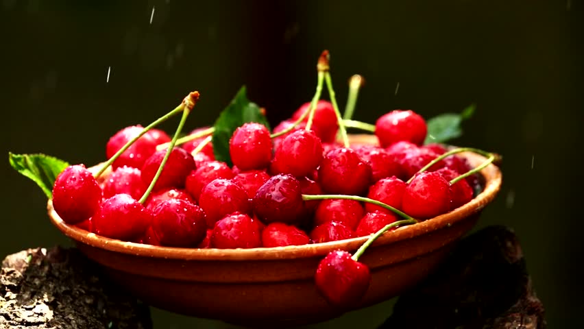 Ripe red cherries under rain drops