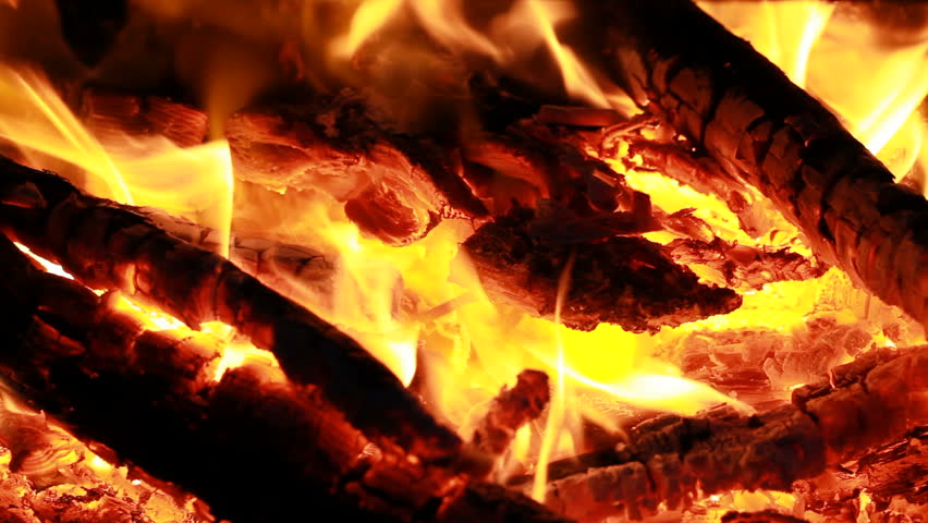 Bright burning wood, campfire macro video