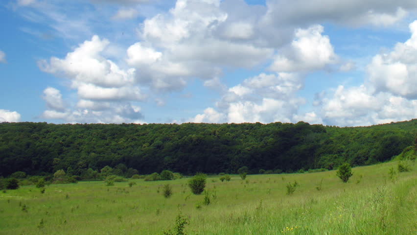Summer landscape - field of grass. Timelapse