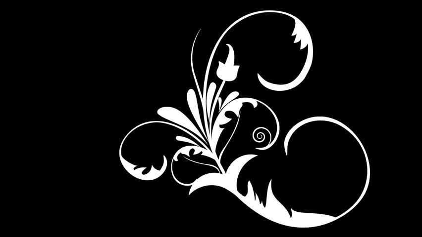 flower ornaments vector design set growing