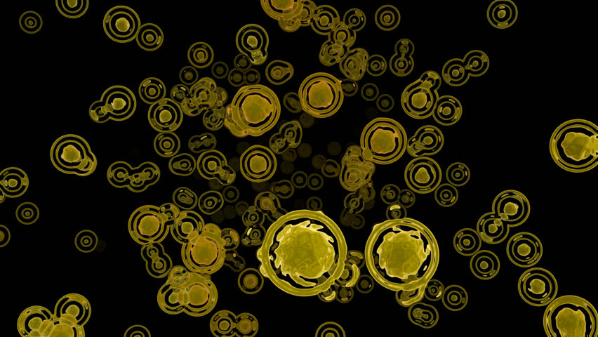 yellow circular cells