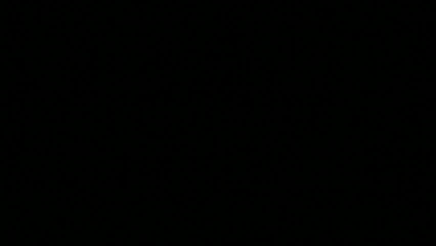 fireworks display on Independence Day July 4 USA with sound