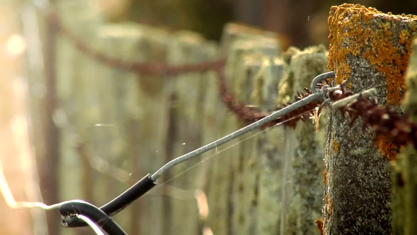 Old barb wire fence Clip 4