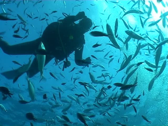 Malta underwater diving