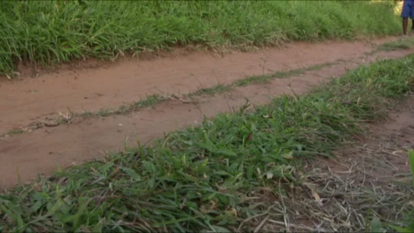 walk in africa 