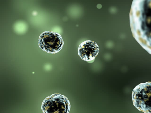 3-d animation of infected cells multiplying
