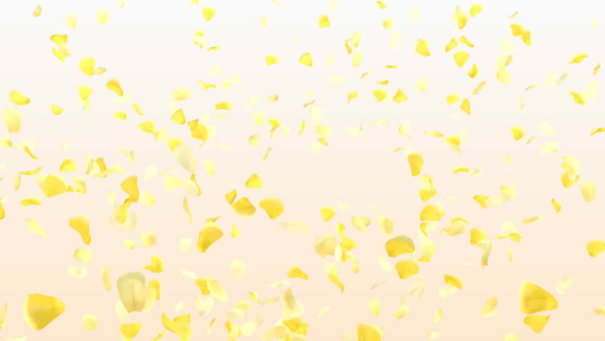 Rose Petals.