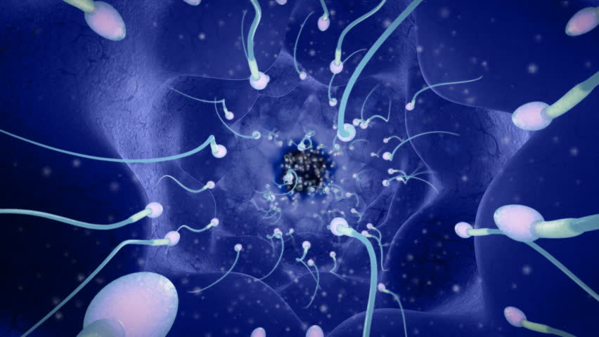 Group of sperms race in competition		 