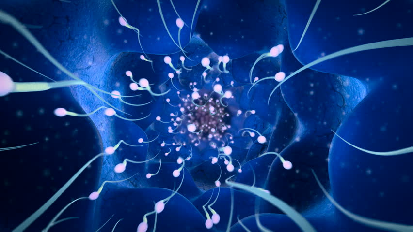 Group of sperms race in competition