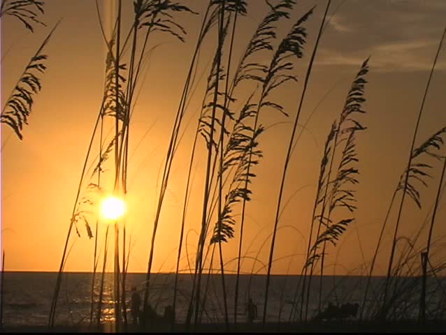 Evening golden sun over the Gulf of Mexico
