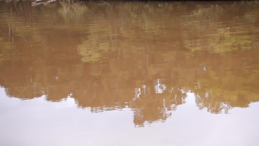 The camera tilts up from the calm muddy waters of a small winding river with heavily wooded banks.
