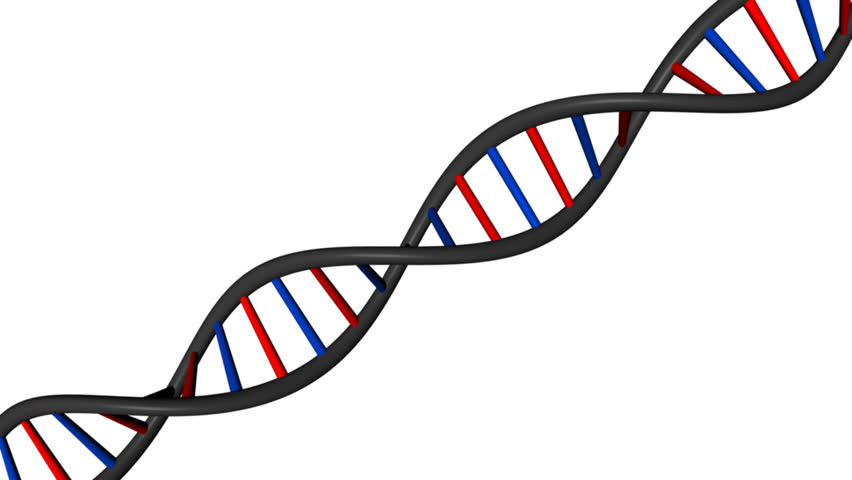 A DNA string rotating. Isolated on White. Seamless.