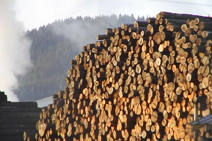 Stacks of timber at a sawmill in the forest.