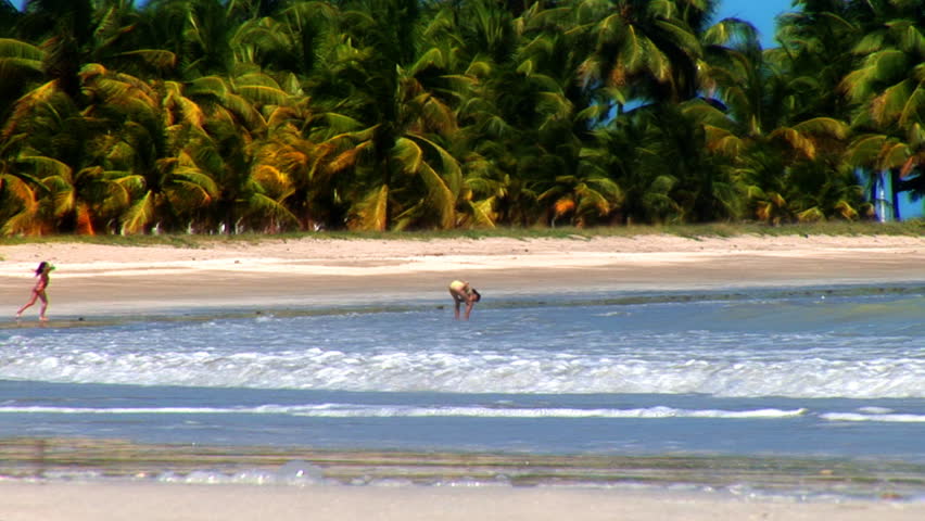 Wide of Tropical Beach