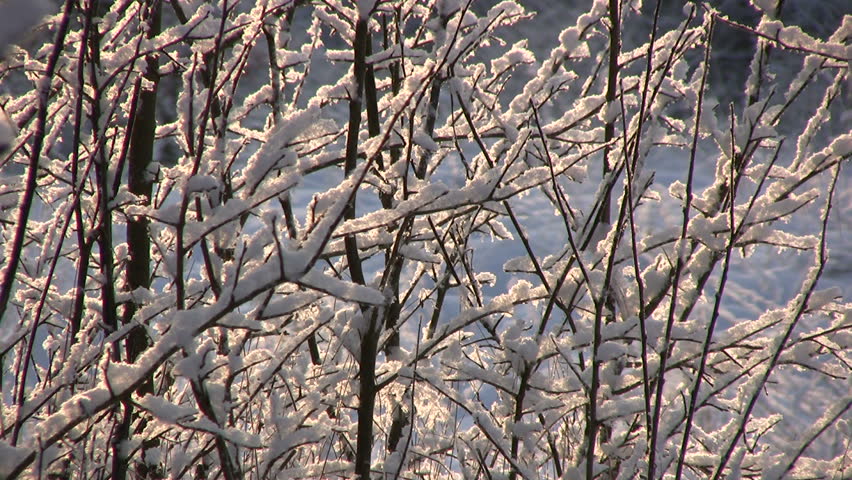 Winter land scape, zoom out