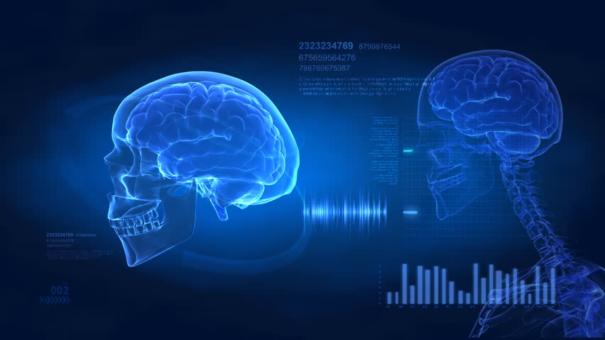 Brain concept -  medical science display in loop