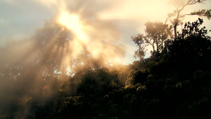 Time-lapse cloud & sunlight symbolizing trees absorbing carbon dioxide from the atmosphere & producing oxygen