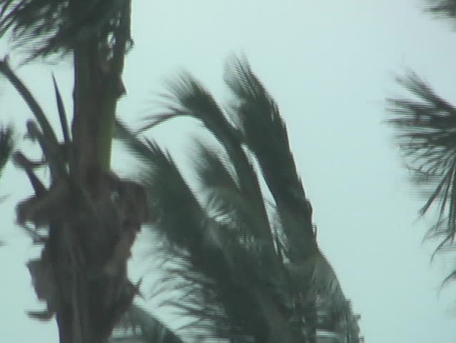 Extreme weather. Ernesto tropical storm making landfall in South Florida