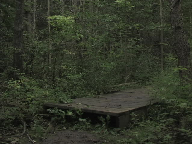 TWO MOUNTAIN BIKERS PERFORM A CATWALK OFF THE BOARDWALK DEEP INSIDE A FOREST TRAIL.