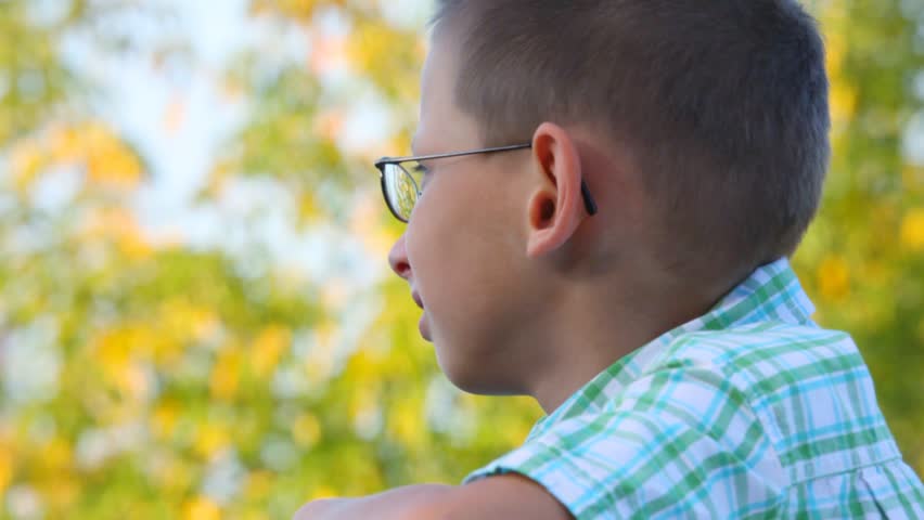 portrait of bespectacled boy looks at tree in park, profile 
