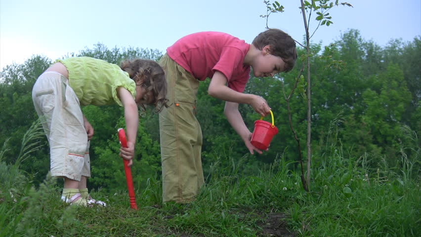 boy with bucket watering young plant, girl with shovel digging hole 